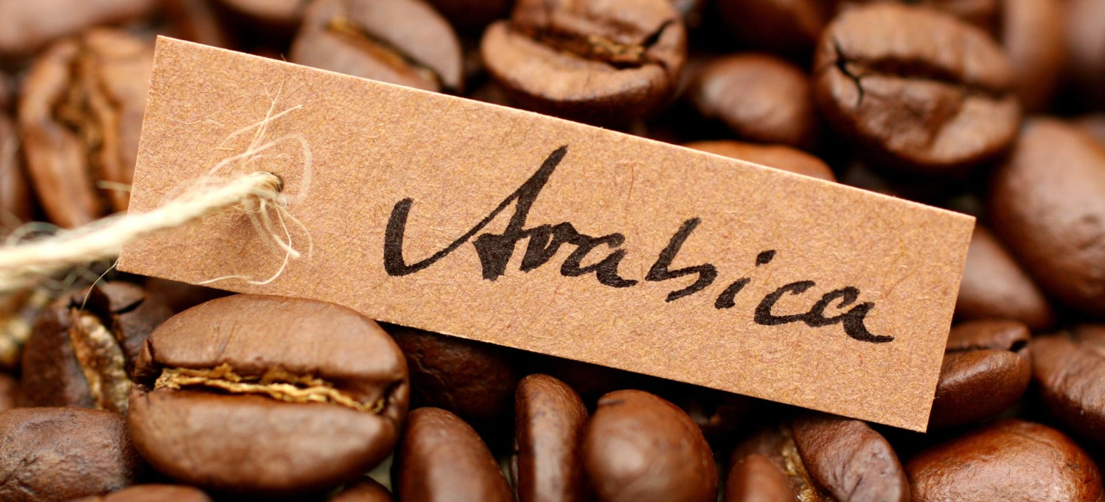 Perú: Noveno Productor Mundial de Café Arábica